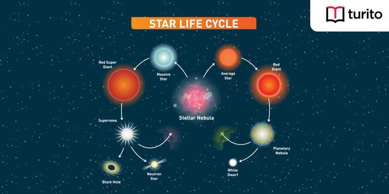 essay on life cycle of stars