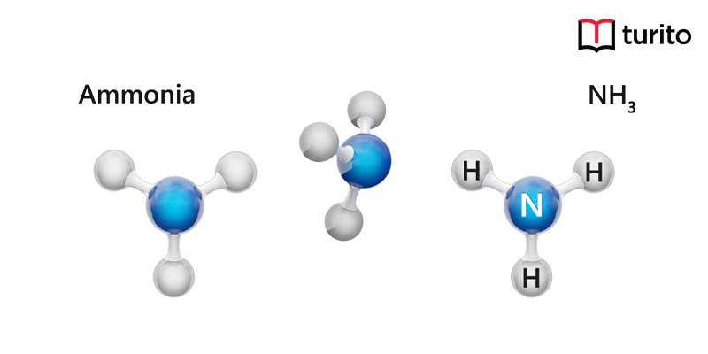 Ammonia, Definition & Uses