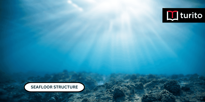 Seafloor Structure