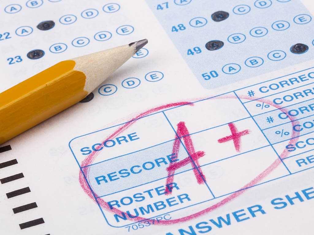 what grade do you take the sat