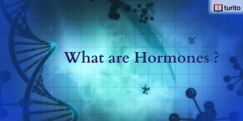 What are Hormones