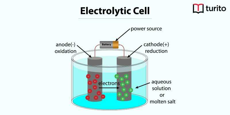 electronic cell