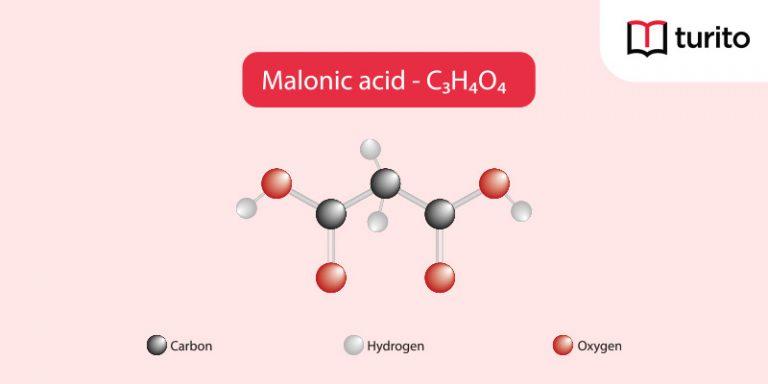 Malonic Acid
