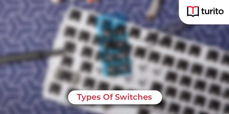 Types Of Switches