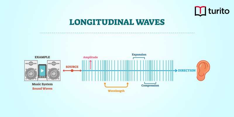 Longitudinal Waves