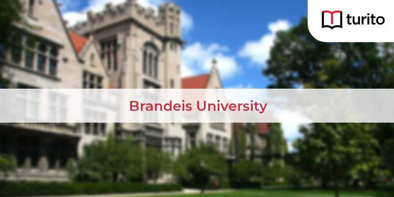 brandeis university