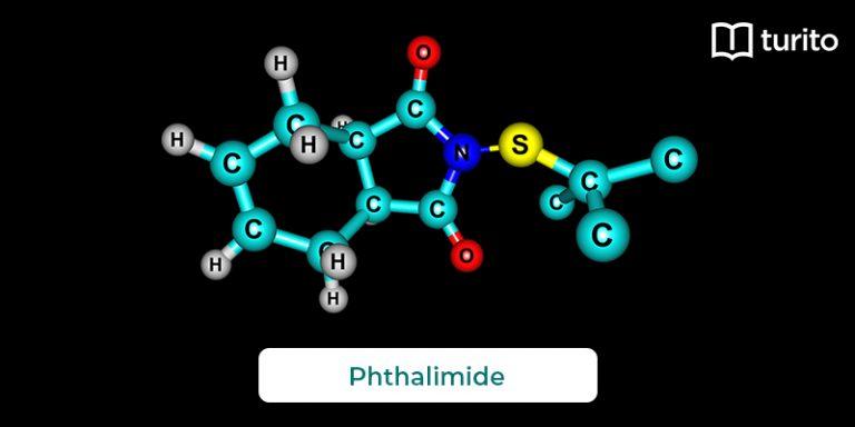 phthalimide