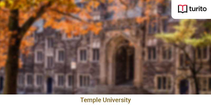 temple university