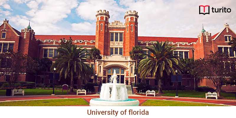 university of florida ranking