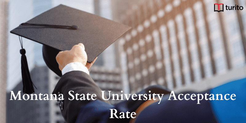 montana state university acceptance rate