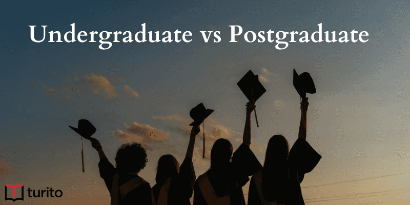 Undergraduate or Postgraduate