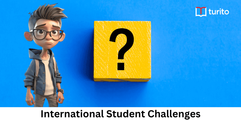 international student challenges