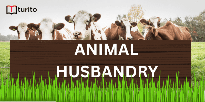 ANIMAL HUSBANDRY