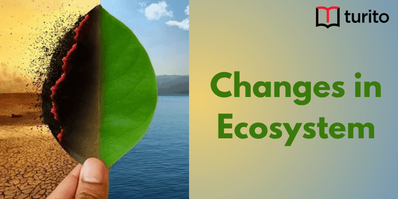 Changes in Ecosystem