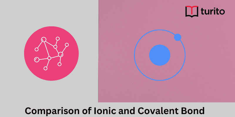 Comparison of Ionic and Covalent Bond