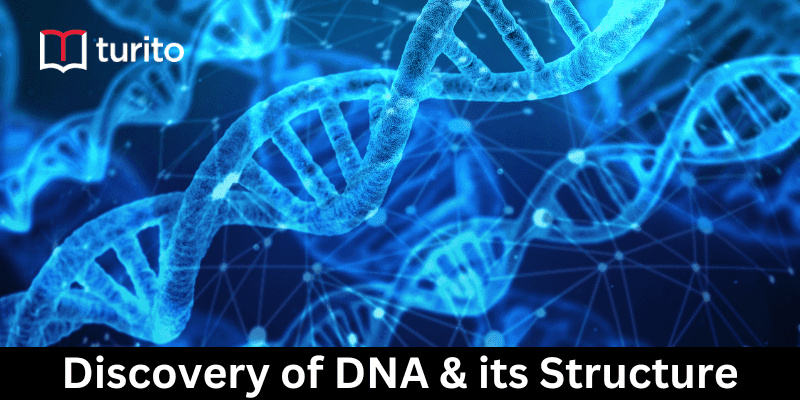 Discovery of DNA & its Structure