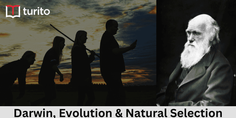 Darwin, Evolution & Natural Selection