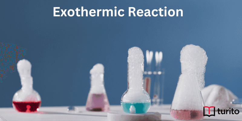 Exothermic Reaction