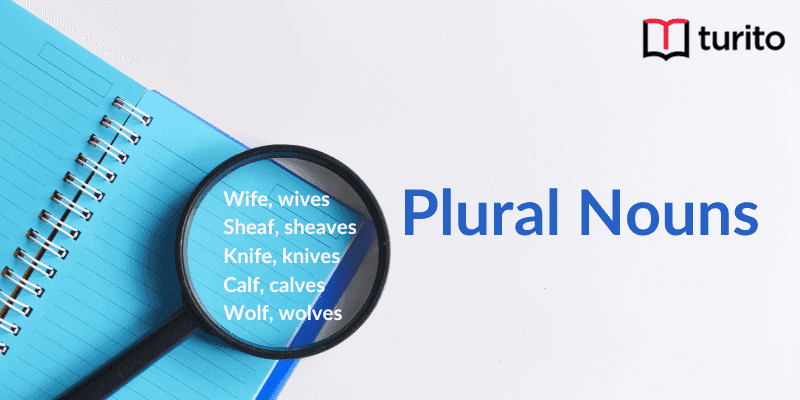 Plural Nouns Examples