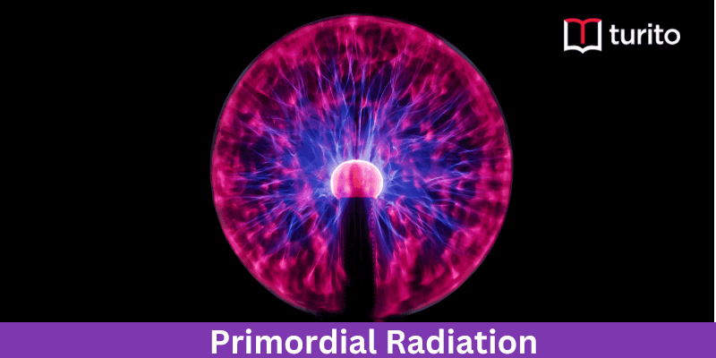 Primordial Radiation
