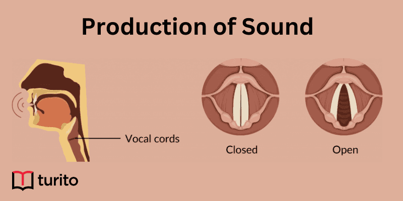 Production of Sound