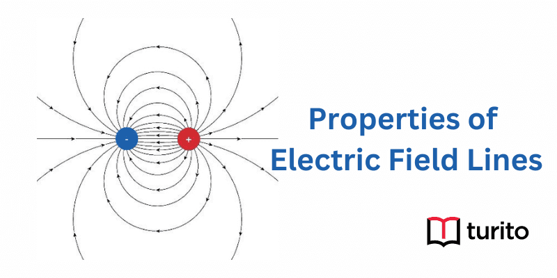 Properties of Electric Field Lines