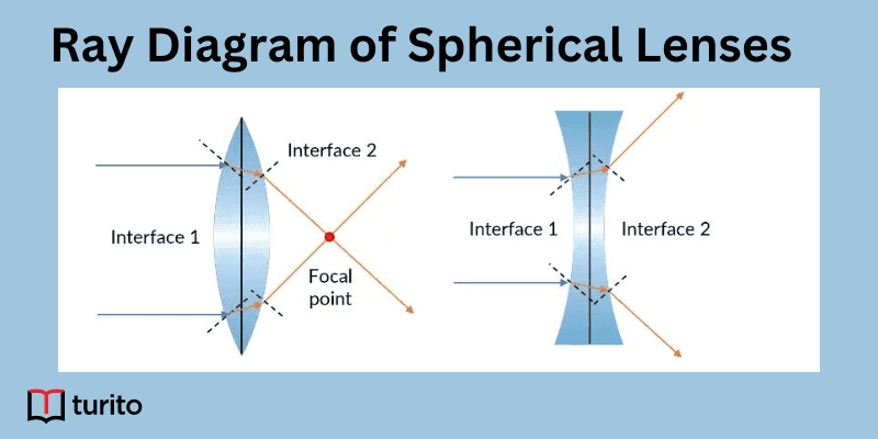Ray Diagram of Spherical Lenses