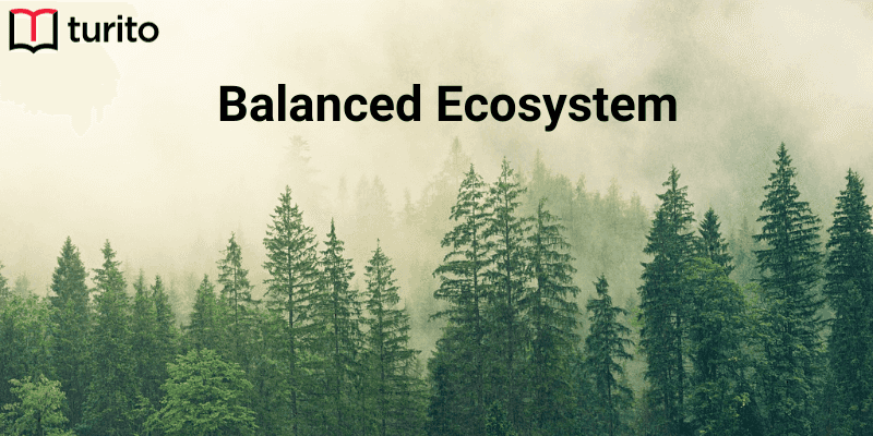 balanced ecosystem