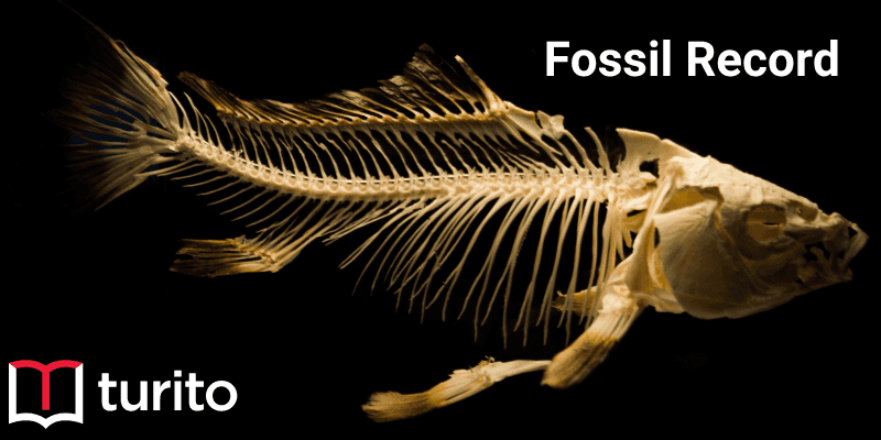 fossil record