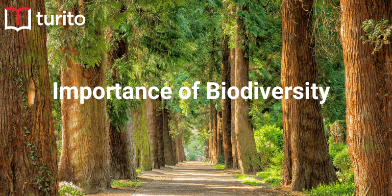 importance-of-biodiversity