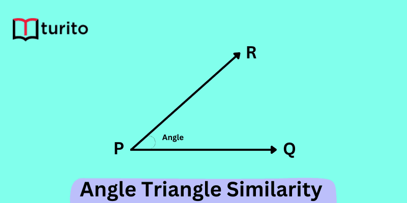 Angle Triangle Similarity
