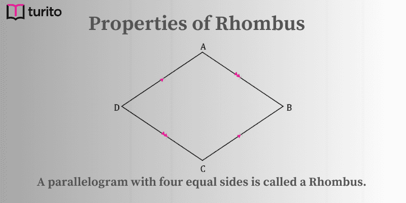 Properties of Rhombus