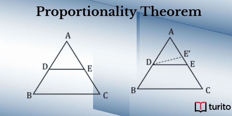 Proportionality Theorem