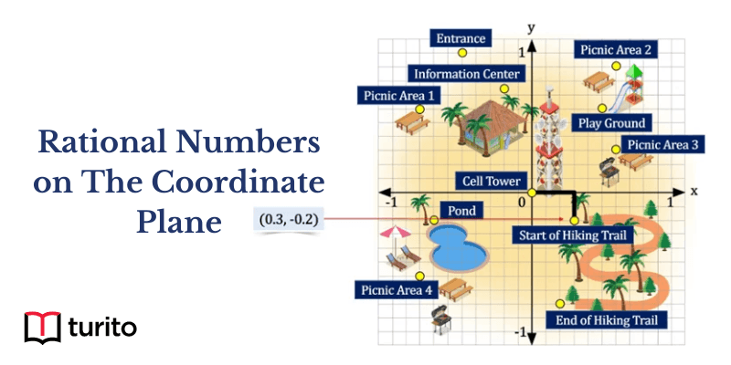 Rational Numbers on The Coordinate Plane