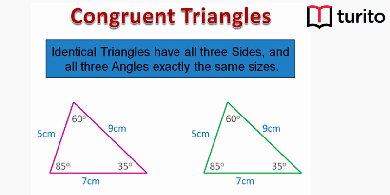 applications of congruent triangles