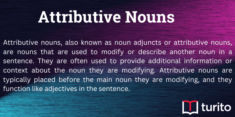 attributive nouns