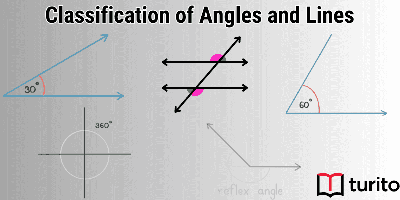 classification-of-angles-and-lines