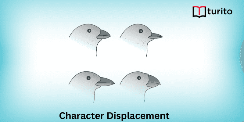 Character Displacement
