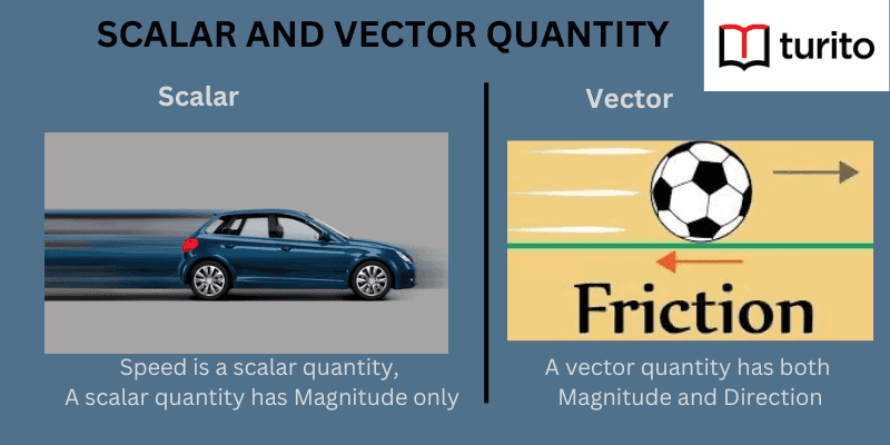 Scalar and Vector Quantity