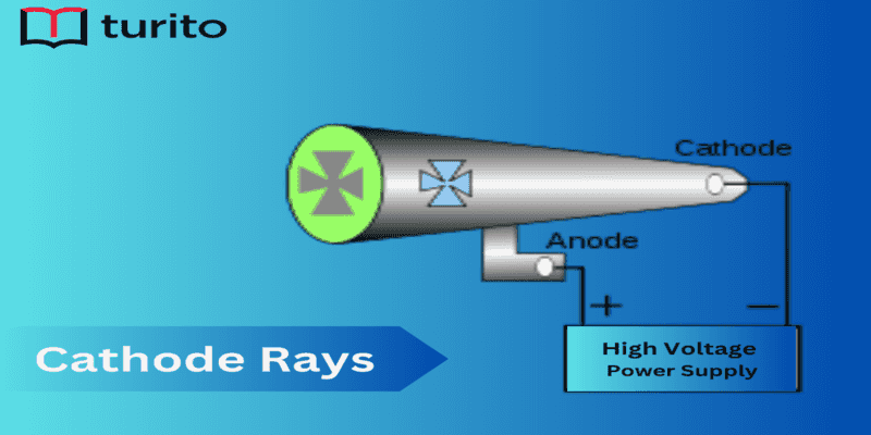 Cathode Rays and Radioactivity