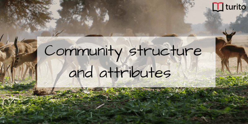 Community structure and attributes