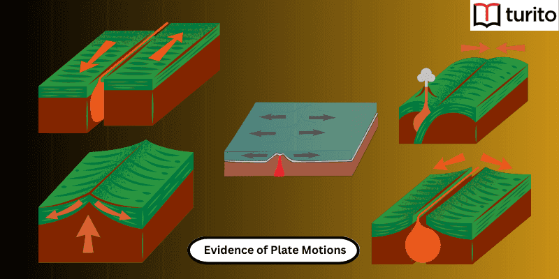 Evidence of Plate motions
