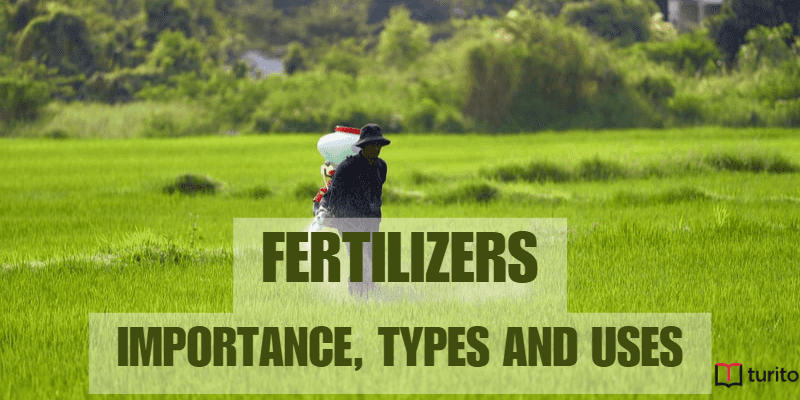 Fertilizers, Importance, Types and Uses
