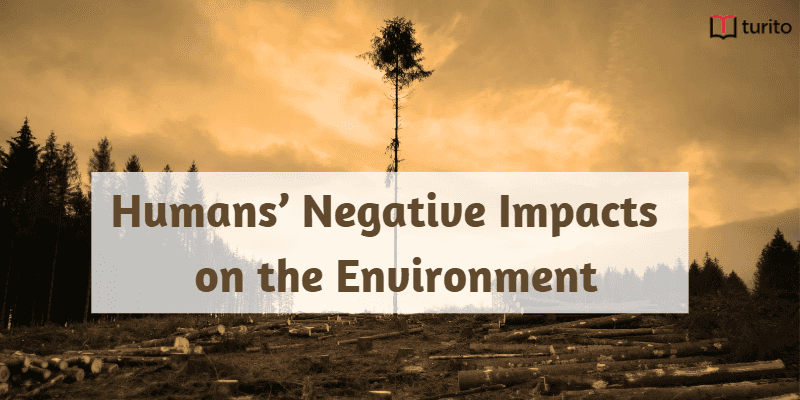 Humans’ Negative Impacts on the Environment