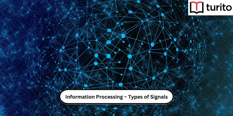 Information processing types of signals