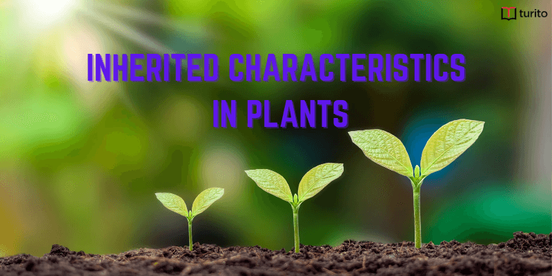 Inherited characteristics in plants