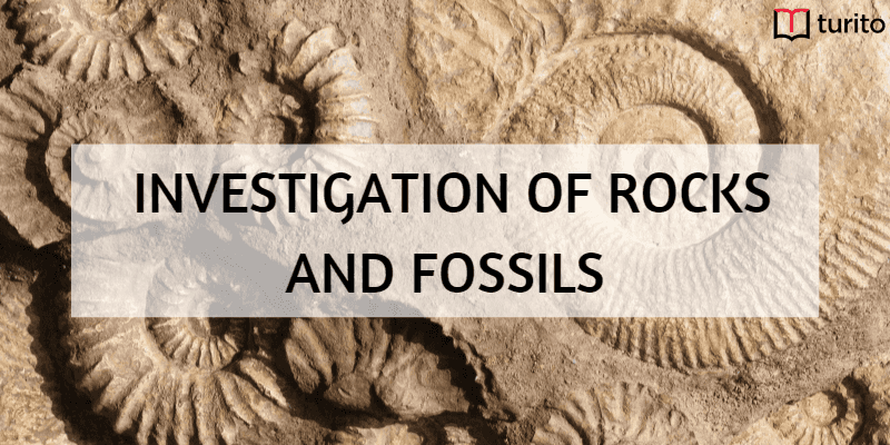 Investigation of rocks and fossils