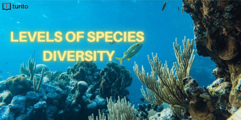 Levels of Species Diversity