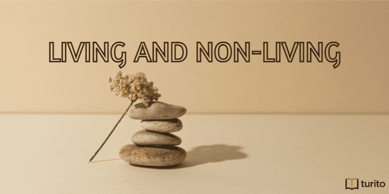 Living and Non-living