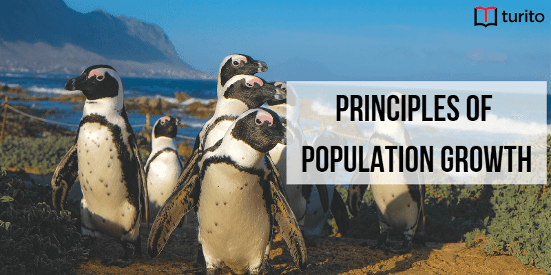 Principles of Population Growth